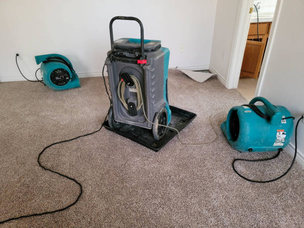 Best Ceiling water damage repair  in Selden, NY
