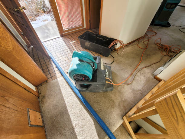Best 24/7 water damage repair  in Selden, NY