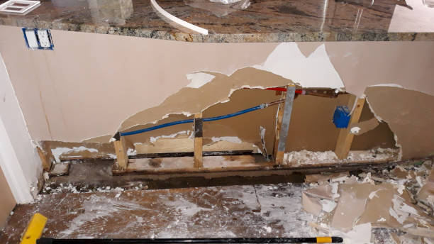 Best Basement water damage restoration  in Selden, NY
