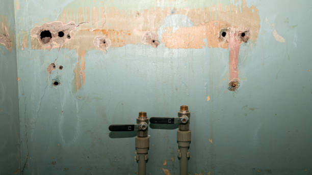 Best Ceiling water damage repair  in Selden, NY