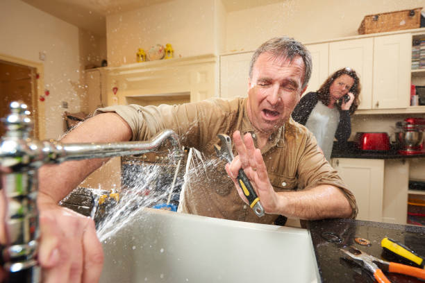 Best Professional water damage repair  in Selden, NY